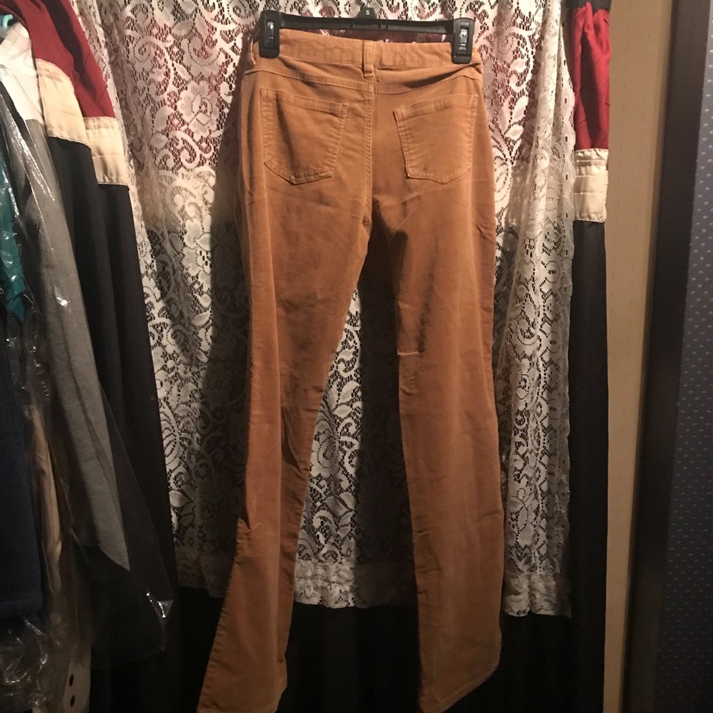 Corduroy - Picture 2 of 4